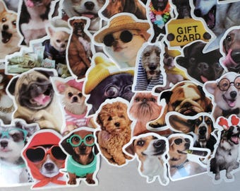 Doggy Stickers - Set of 100 Stickers - Vinyl & Waterproof