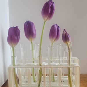 Vintage Reagenzglas-Ständer, zweckentfremdete Vase/Reagenzglas Blumenvase/Einzigartige Blumenvase/Wissenschafts-Themen-Dekor/lange Vasen/einzelne Blumenvase/Bud Vase