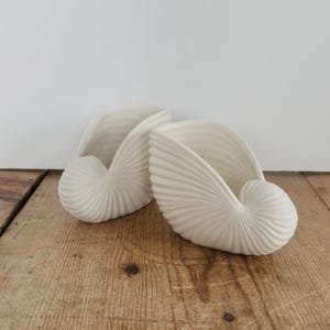 Puede incluir: Tres esculturas de cerámica blanca con forma de concha de nautilus. Las conchas están dispuestas sobre una superficie de madera. Las esculturas tienen un diseño en espiral y son un elemento decorativo para el hogar.