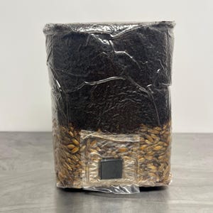 All-In-One Mushroom Grow Bag — Magical Manure-Loving, Coco coir substrate, 1.5lb Each