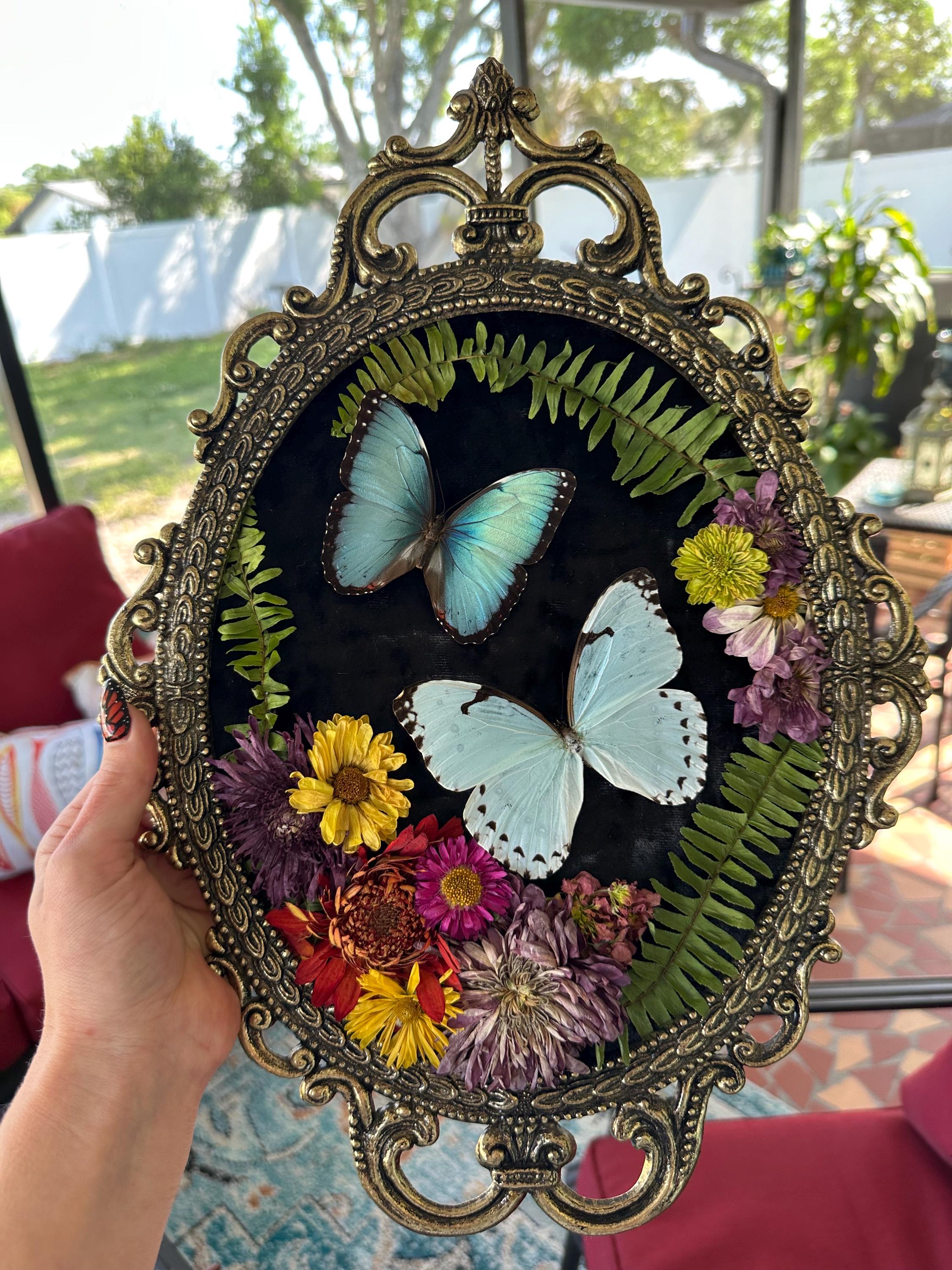 アンティーク風 蝶のフレーム アンティーク風 蝶のフレーム アンティーク風 蝶のフレーム