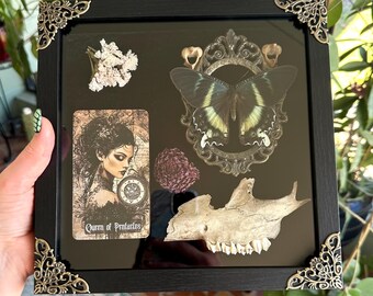 Queen of Pentacles frame: Deer jawbone and swallowtail moth frame