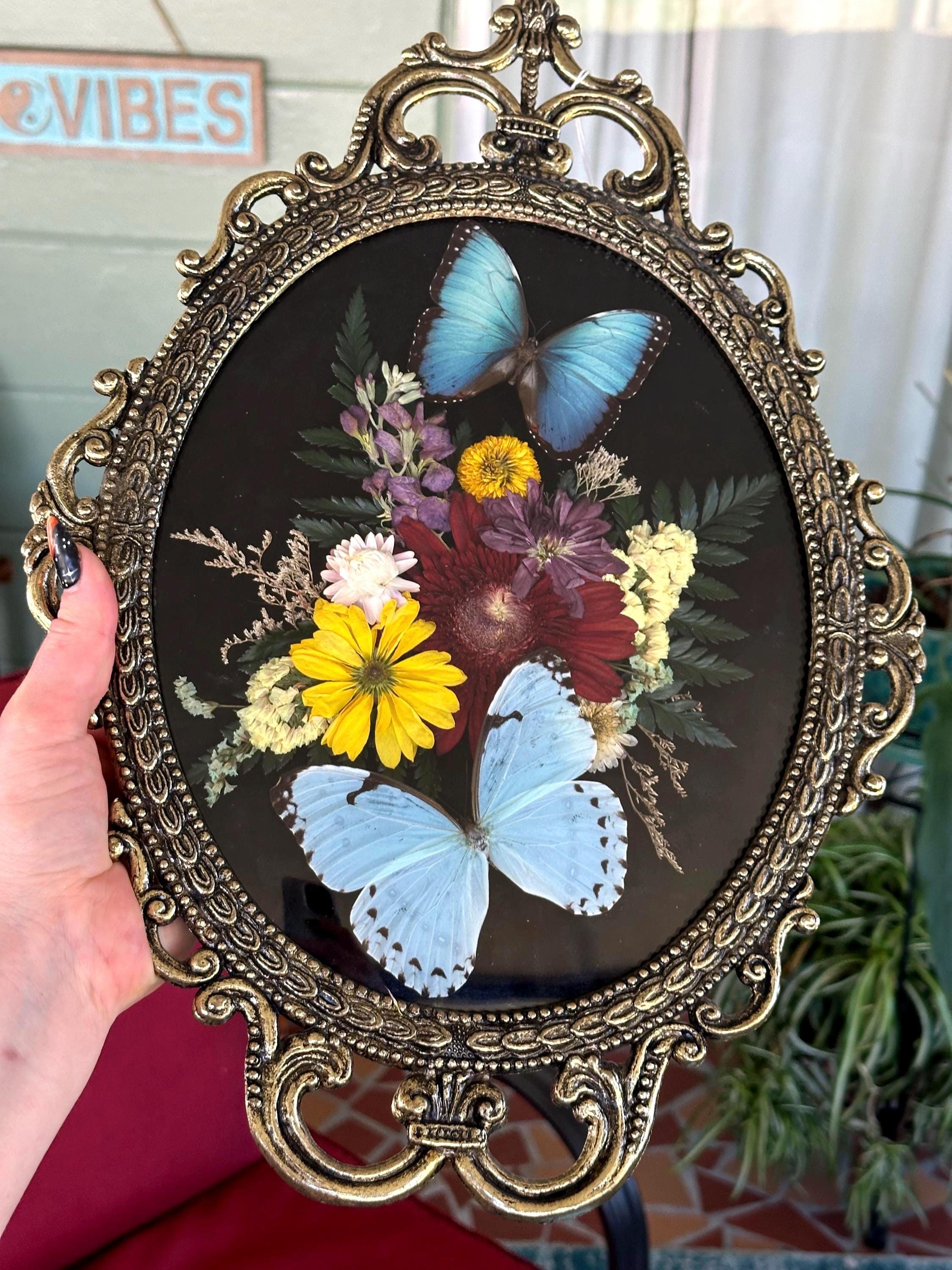 Butterfly Frame Bubble Frame - Etsy