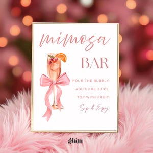 May include: A framed sign with the words "mimosa BAR" in pink script. A watercolor illustration of a mimosa cocktail with an orange slice and berries is featured. Instructions read "Pour the bubbly, add some juice, top with fruit, Sip & Enjoy."