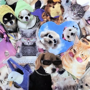 Paquete de 50 pegatinas transparentes de animales adorables, paquete de pegatinas de animales, pegatinas transparentes, pegatinas divertidas de animales, pegatinas troqueladas