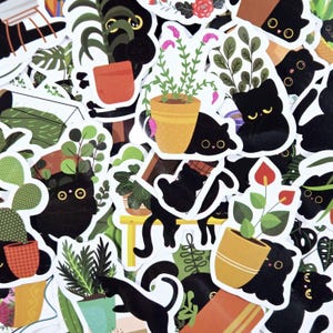 Paquete de 50 pegatinas de plantas de gatos, pegatinas divertidas de gatos, paquete de pegatinas de animales, pegatinas para amantes de los gatos, pegatinas de gatos kawaii, pegatinas troqueladas