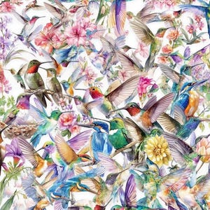 Pack of 50 Transparent Bird Stickers, Hummingbird Stickers, Nature Stickers, Flower Stickers, Junk Journal Stickers, Planner Stickers