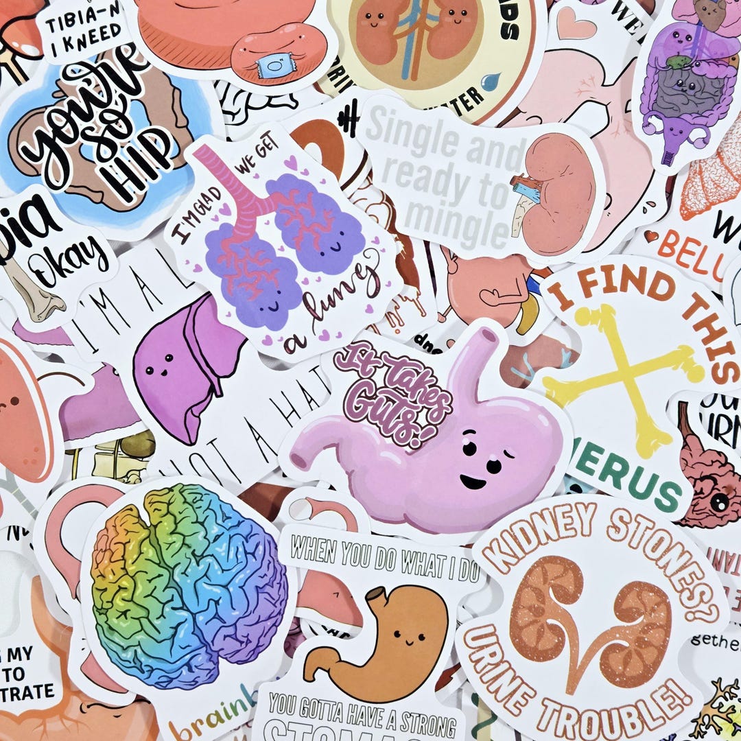 Anatomy Science Stickers : Die Cut Biology Stickers, Pack of 50 - Etsy