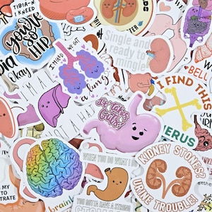 Pack of 50 Anatomy Science stickers, Anatomy stickers, Science stickers, Human sticker, Biology stickers, Health stickers, Die cut stickers