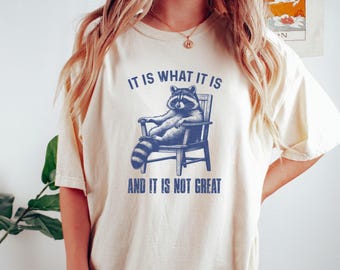 It Is What It Is and It Is Not Great Tshirt, Comfort Colors Retro Funny Raccoon Shirt Meme Shirt Raccoon Lover Vintage Trash Panda Shirt