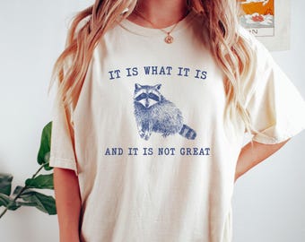 It Is What It Is and It Is Not Great Tshirt, Comfort Colors Retro Funny Raccoon Shirt Meme Shirt Raccoon Lover Vintage Trash Panda Shirt