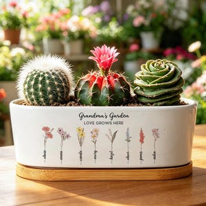 May include: A white oval ceramic planter with a bamboo base containing three distinct cacti. The planter features the text "Grandma's Garden" and "LOVE GROWS HERE" above a series of eight delicate floral illustrations with names printed below each.