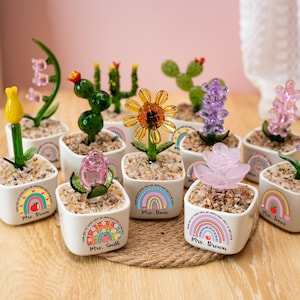 Ornamento personalizzato in vetro a forma di pianta grassa, fiore in vaso in vetro colorato, regalo di ringraziamento per insegnanti, regalo di ringraziamento con design arcobaleno per insegnanti.