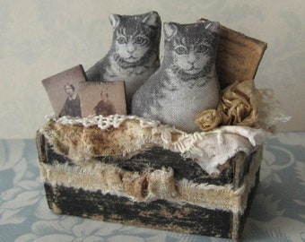 Miniature Dollhouse Cat Dolls in Box*Handmade*Photos*Book*Room Decor*1:12