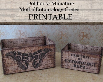 May include: Two miniature wooden crates, one with a moth illustration and the other with the text "PROPERTY OF ENTOMOLOGY DEPT."