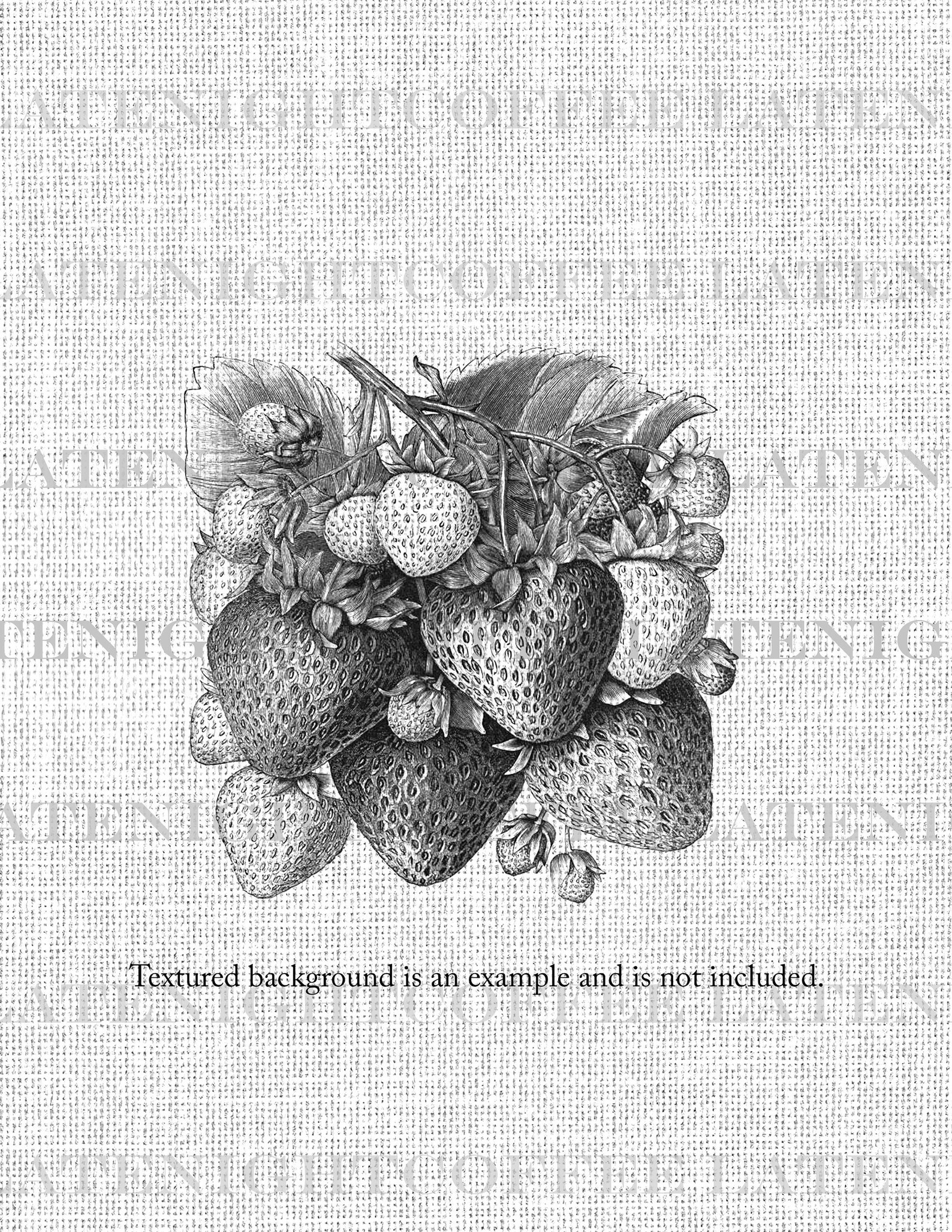 Strawberry Printableillustrationdigital Downloadblack Etsy