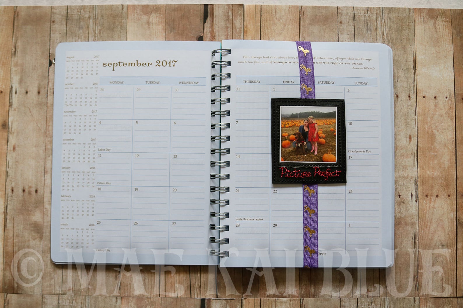Picture Perfect Frame Organizer Pocket Planner Band Etsy