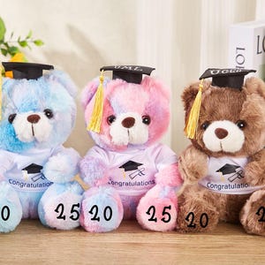 Personalized Graduation Bear 2025,Custom Graduation Bear With Name,Graduation Bear,College Grad Gift,Graduation Gifts,Graduation Keepsake.