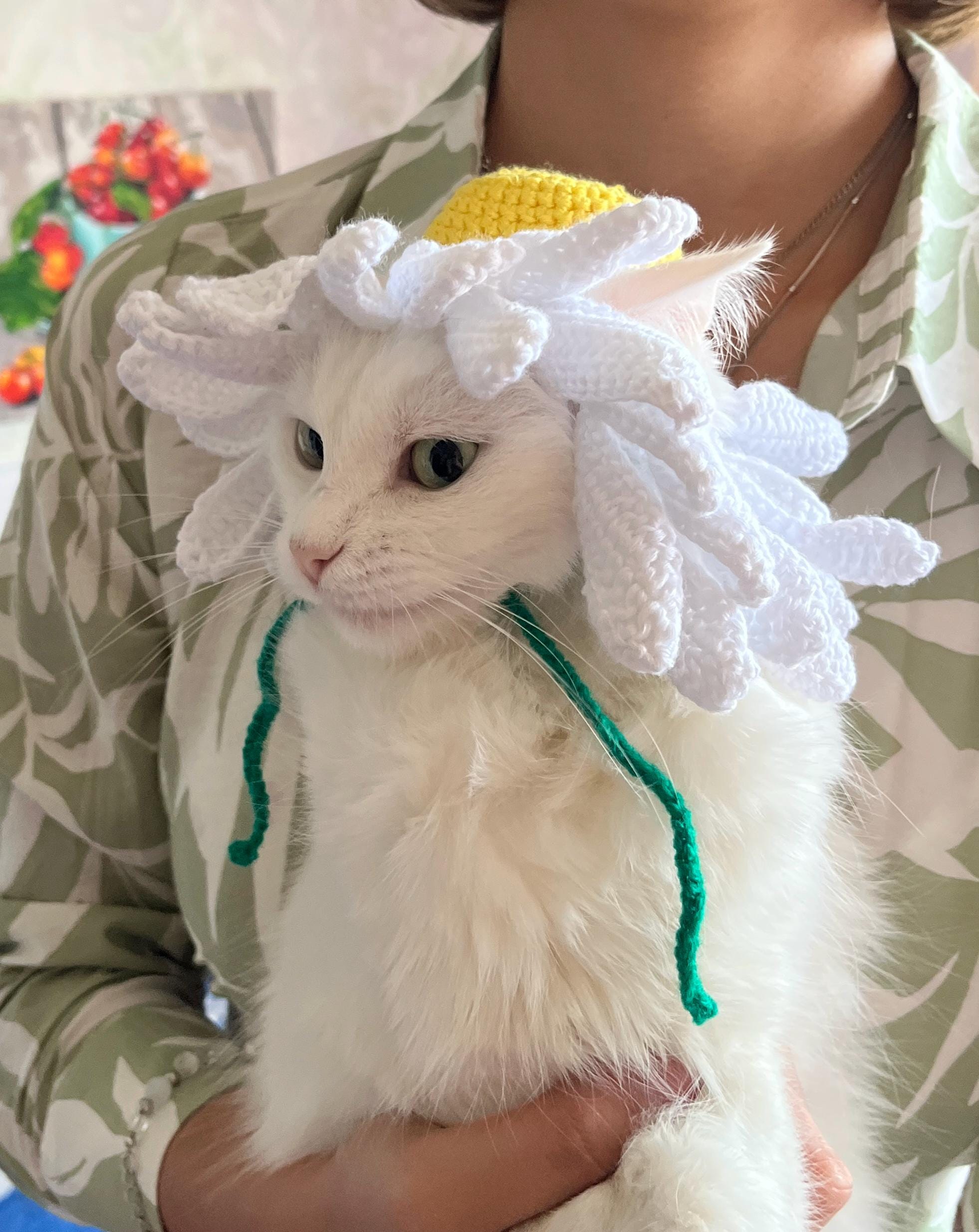 36 Cat Hat Crochet Patterns for Cozy, Costume, and Playful Crochet Projects 14 Daisy Flower Cat Hat Crochet Pattern: Beginner-Friendly