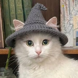 Puede incluir: Un gato blanco de ojos verdes lleva un sombrero puntiagudo de ganchillo gris. El sombrero presenta un ala ancha y una copa alta ligeramente caída, confeccionado con hilo texturizado. Las orejas del gato se ven bajo el ala del accesorio.