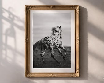 Year of the Fire Horse 2026 Fine Art Print, Chinese Zodiac Horse Wall Art, Feng Shui Horse Decor, Lunar New Year Astrology Artwork