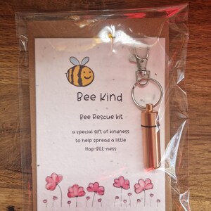 Carte de voeux/coffret BEE KIND. Carte de voeux en papier de fleurs sauvages à planter, cadeau et kit de sauvetage d'abeilles, le tout à la fois !