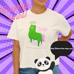 Funny Duolingo Slay T-Shirt  Language Learning Meme Tee  Cute & Aesthetic Duo Owl Shirt