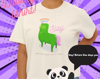 Funny Duolingo Slay T-Shirt Language Learning Meme Tee Cute & Aesthetic Duo Owl Shirt