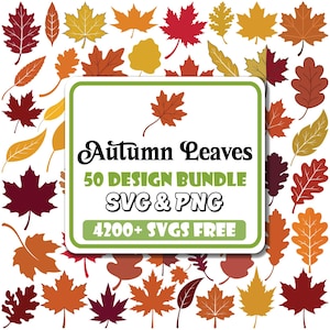 May include: A digital design bundle featuring a collection of various autumn leaves in shades of red, orange, yellow, and brown. The central white square with a green border displays the text Autumn Leaves 50 DESIGN BUNDLE SVG & PNG 4200+ SVGS FREE.
