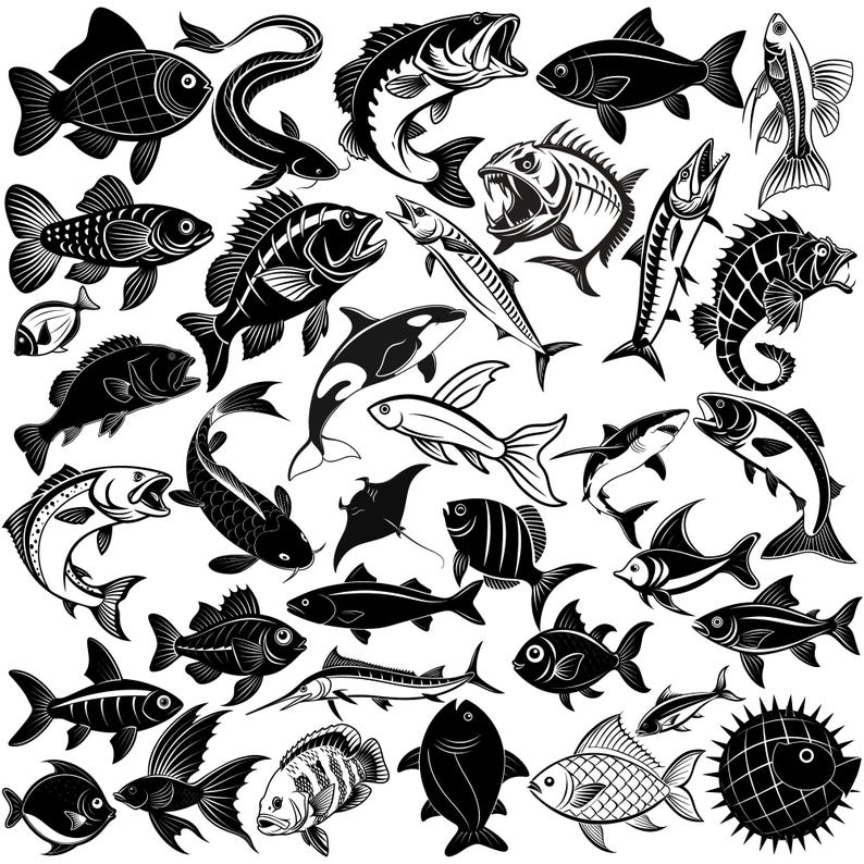 Fish SVG Bundle |ocean Fish Svg |ocean Life Svg |fish Shape Svg |ocean ...