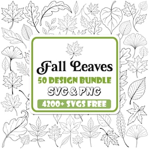 May include: A digital design bundle featuring a collection of black and white line art illustrations of various autumn leaves. The central text reads Fall Leaves 50 DESIGN BUNDLE SVG & PNG 4200+ SVGS FREE, displayed on a white rectangular background.