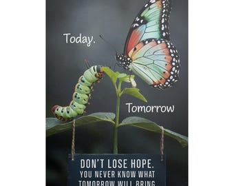 Motivational Butterfly Caterpillar Digital Poster, Don't Lose Hope Inspirational Wall Art, Encouraging Quote PNG Download