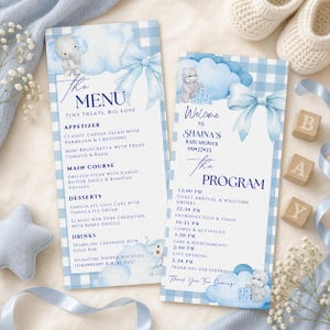 May include: Baby shower menu and program cards with a blue and white gingham pattern. The menu includes appetizers, main courses, desserts, and drinks. The program lists the schedule of events, including guest arrival, games, and gift opening.