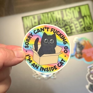 May include: A circular sticker with a black cat in a box, surrounded by a rainbow border. The text reads "SORRY CAN'T FUCKING GO I'M AN INSIDE CAT". The sticker is held by a hand.