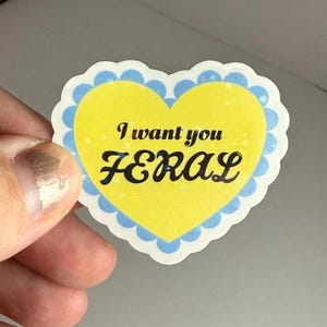 Pegatina holográfica I Want You FERAL Violet & Xaden, Fourth Wing, Onyx Storm, Bookish, Booktok, Book Lover, Laptop