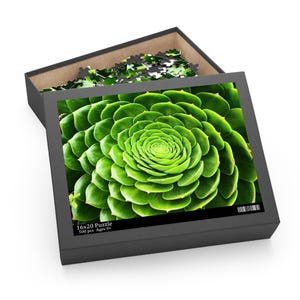 Green Succulent Plant Art Jigsaw Puzzle. Beautiful Art, Quality Print, Perfect Gift for Puzzle Lovers (120, 252, 500-Piece)
