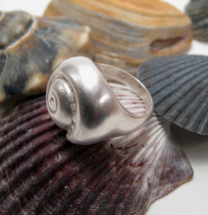 Snail Shell Rings Silver Hatteras Snail Shell Ring - Etsy