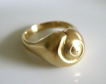 Gold Shell Ring Small 18k Hatteras Snail