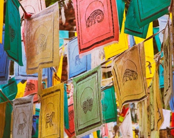 Colorful animal prayer flags photograph