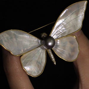 May include: A gold butterfly brooch with a pearl accent. The wings are made of iridescent mother of pearl.