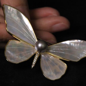 May include: A white mother-of-pearl butterfly brooch with a gold frame and a grey pearl accent.