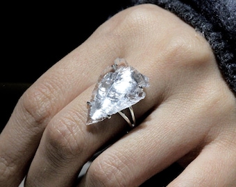 Può includere: Un anello di cristallo trasparente con un design a forma di foglia. L'anello è incastonato su una fascia argentata.
