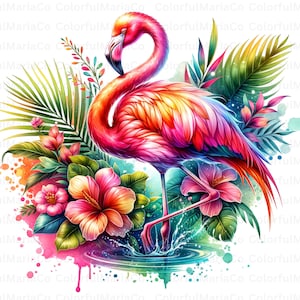 Flamenco tropical PNG, Verano tropical PNG, Archivo de sublimación de verano, Diseños de camisetas de verano para niñas, Clipart de flamenco floral PNG, Uso comercial