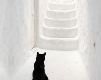 Black Cat Art Print: Minimalist Staircase, Japan Paper