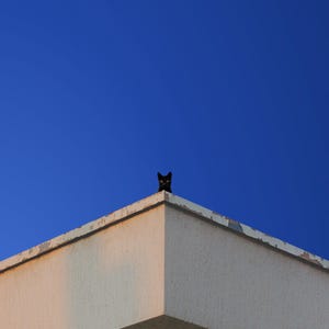 All Along The Watchtower