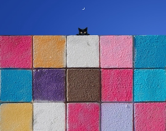 Curious Cat Art Print, Colorful Wall Art