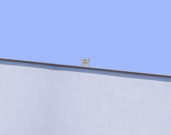 Peeking Cat Poster, Minimalist Wall Art, Modern Home Decor