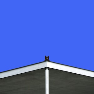 The Watcher