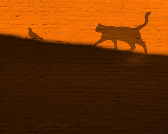 Cat and Bird Shadow Poster, Brick Wall Art