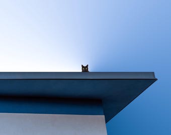 Ninja Cat Art Print - Minimalist Cat Poster